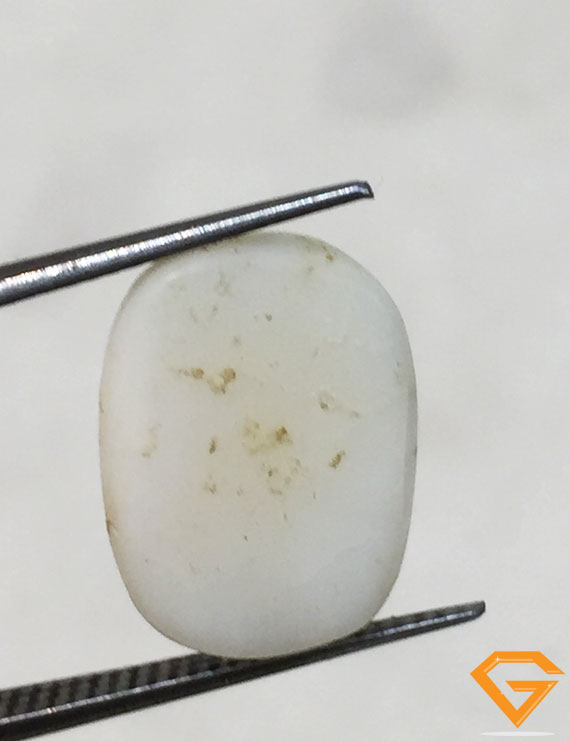 5.50 ratti/5.16 ct Natural Certified  White Coral/सफ़ेद मूंगा